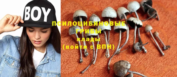 бошки Алексеевка