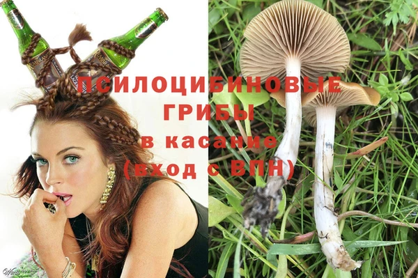 стафф Рославль